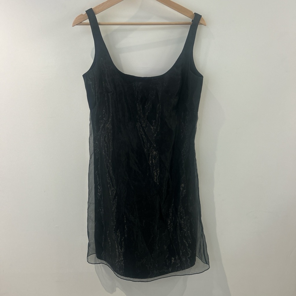 Vintage French Organza Black Mini Dress